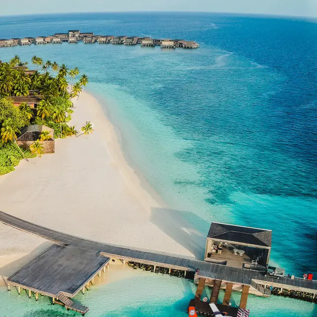 Why Booking Through a Travel Agency Makes Sense