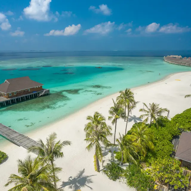 Why Travel Agencies Are Still Relevant in the Digital Age
