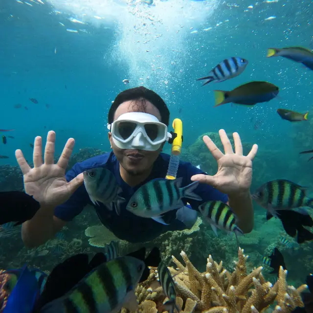 Let a Travel Agency Turn Your Dream Vacation Into Reality